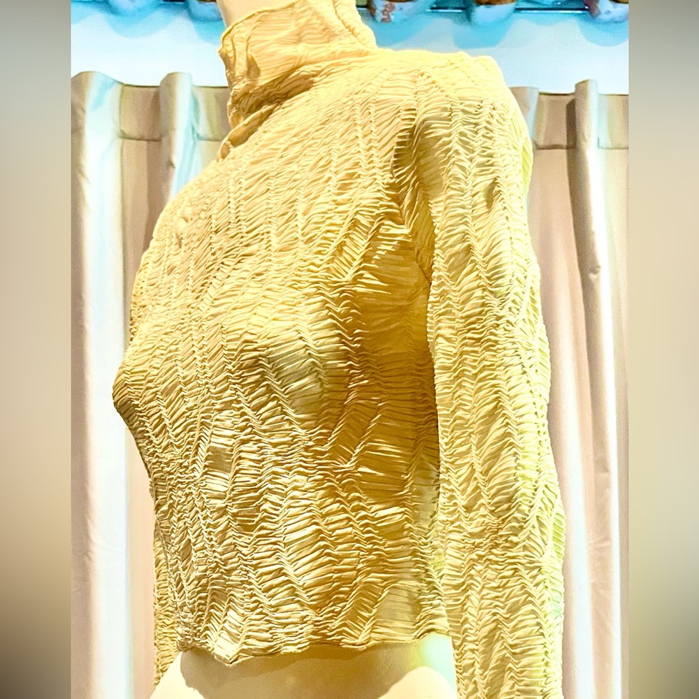 Cropped Blouse - Picture 4 of 4